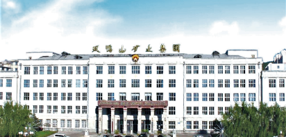 双鸭山矿业公司 2025新老澳门原料网站